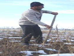 Ürünü donan çiftçi destek bekliyor